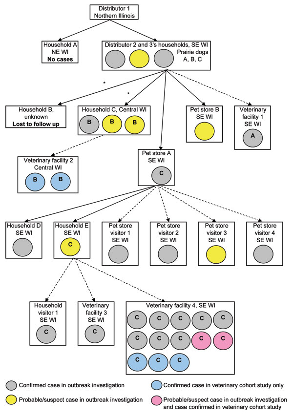 Cases of human monkeypox virus infection. Data from the outbreak investigation and veterinary facility cohort study, by exposure setting and case status, Wisconsin, 2003. A, exposure to prairie dog A; B, exposure to prairie dog B; C, exposure to prairie dog C. Exposure = direct contact or same-room exposure. *Prairie dog sold at swap meet. NE, northeastern; WI, Wisconsin; SE, southeastern; solid arrows, prairie dog sale and exposure; dashed arrows, prairie dog exposure only.