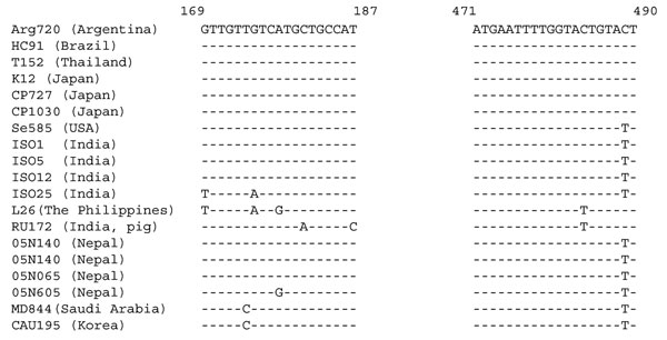 Comparison of the primer binding regions of the VP7 genes of G12 rotavirus strains detected in various geographic locations. Primers were designed based on the Arg720 sequence. The sequence of the forward primer is as shown in the figure; the sequence of the reverse primer is complementary to that shown in the figure.