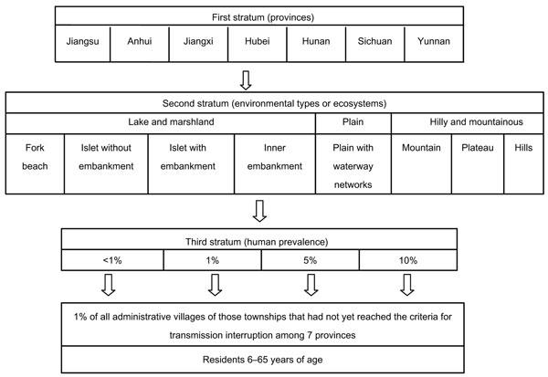 Design of the cluster sampling survey for schistosomiasis, People’s Republic of China.