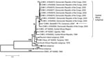 Thumbnail of Phylogenetic tree of chikungunya virus (CHIKV) based on partial nucleotide sequences (3′ extremity of E1/3′-UTR, position 10,238–11,367). Phylogram was constructed with MEGA 2 program and tree drawing used the Jukes-Cantor algorithm for genetic distance determination and the neighbor-joining method. The percentage of successful bootstrap replicates (1,000 bootstrap replications, confidence probability &gt;90%) is indicated at the nodes. The length of branches is proportional to the number of nucleotide changes (% of divergence). Asterisk (*) and arrow indicate the strains isolated in this work. The dark triangle corresponds to viruses clustering together. O’nyong-nyong virus (ONNV) sequence has been introduced for correct rooting of the tree. The GenBank reference no. for the Cameroon CHIKV isolate is EF051584.