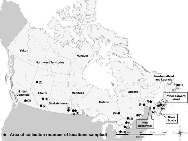 Live bird survey sample site locations.