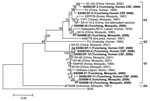 Thumbnail of Phylogenetic analysis of Japanese encephalitis virus strains predicted from premembrane gene sequences. Neighbor-joining tree was generated by using MEGA 3.1 software (www.megasoftware.net) and rooted with Murray Valley encephalitis (MVE) virus sequence information. Bootstrap confidence limits for 1,000 replicates are indicated above each branch. Horizontal branch lengths are proportional to genetic distance; vertical branch lengths have no significance. Scale bar indicates no. nucleotide substitutions per site. All sequences from this study are in boldface. Genotypes are indicated on the right. Designations are listed first, followed by country, source, and year of isolation. CSF, cerebrospinal fluid.