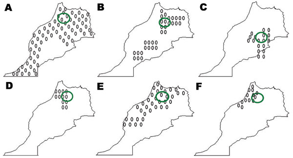 Distribution of ticks in Morocco from which rickettsial DNA was detected by PCR. A) Rhipicephalus sanguineus, B) Haemaphysalis sulcata, C) Ha. punctata, D) Ixodes ricinus, E) Hyalomma marginatum marginatum, F) Dermacentor marginatus. Green circles indicate areas where ticks were collected and found to harbor rickettsiae. Ovals indicate distribution of each tick species in which rickettsial DNA was detected by PCR.