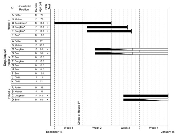 Exposure and disease events for each member of the family cluster in Eastern Turkey. Dark boxes, period of illness; white boxes without text, recovery period; thick dark vertical line, death; *Exposed to corpses of potentially diseased poultry. **Most of the members of houses 2 and 3 attended.