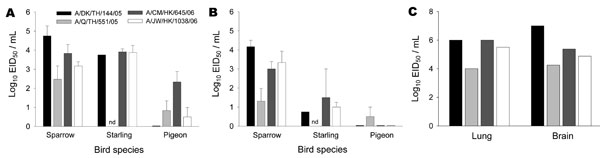 Average peak influenza A virus titers in oropharyngeal (A) and cloacal (B) swabs during the course of influenza (H5N1) infection in 3 terrestrial bird species. C, influenza A virus titers in lungs and brains of deceased sparrows. Data are presented as log10 50% egg infectious doses per milliliter (log10 EID50/mL). ND, no data available.