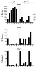 Thumbnail of Quantification of disease-associated prion protein (PrPres) in brain, tonsil, and retropharyngeal lymph node (RPLN) from chronic wasting disease–affected elk and deer. The relative amount of PrPres in each lane of Figure 1 is shown relative to a common control described in the Figure 1 legend. A split scale is shown for elk brain because the PrPres signal from each elk brain was strong enough with 2-mg equivalents of tissue to obscure the protein patterns on the gel. Twenty-milligram equivalents were analyzed for all other tissues. The 10-fold difference in the amount of tissue equivalents loaded is accounted for by the split scale, where the result from 2-mg equivalents was multiplied by 10. Data shown are the average of 4 duplicate gels run for each sample. PrPres level in elk brain is significantly different from deer brain (p&lt;0.001), elk tonsil is significantly different from deer tonsil (p = 0.0274), and elk RPLN is significantly different from deer RPLN (p = 0.0087) (Mann-Whitney test). C, reference control; U, uninfected elk or deer.