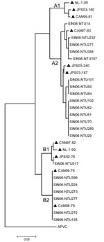 Thumbnail of Phylogenetic analyses of nucleotide sequences of HMPV phosphoprotein showing comparisons with Singapore-Nanyang Technological University (SIN06-NTU*) sequences. *The specimen number acquired during the course of the investigation (e.g., SIN06-NTU14) was made with known strains (highlighted ▲) from Canada [CAN99-81 (AY145294, AY145249), CAN97-83 (AY297749), CAN97-82 (AY145295, AY145250), CAN98-75 (AY297748), CAN98-79 (AY145293, AY145248)], Japan [JPS03-180 (AY530092), JPS03-240 (AY530095), JPS03-187 (AY530093), JPS02-76 (AY530089)], and the Netherlands [NL-1-00 (AF371337), NL-17-00 (AY304360), NL-1-99 (AY525843), NL-1-94 (AY304362)]. Avian pneumovirus type C (APVC AY590688) was used as the outgroup.