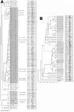 Thumbnail of Clustering trees. A) Trees obtained by using multiple-locus variable-number tandem repeat analysis (MLVA)–based genotyping for strains of Staphylococcus aureus harboring clinically important toxins, Geneva, Switzerland, 1993–2005. Year of isolation, staphylococcal cassette chromosome mec (SCCmec) type, toxin content, multiple locus sequence type, and accessory gene regulator (agr) types are also indicated for each strain (year/SCCmec/ST/agr). Major clusters appear in gray. ND, not determined; NT, nontypeable. *Clonal strains isolated from the familial cluster of ST80-MRSA-IV harboring the Panton-Valentine leukocidin (PVL) gene. **First ST80-MRSA-IV harboring the PVL gene isolated in 1994. ***Aypical ST149 strain clustering with other ST149 isolates, showing 2 toxins. A single locus variant of ST395; B small familial clusters of clonal strains isolated in 2 pairs of relatives; C and D 2 pairs of clonal strains from a neonatology cluster previously described (7); E patients returning from New York infected with USA300; F clusters of isolates from 2 prison inmates; G the only patient (intravenous drug user) with a strain highly related to USA400; H isolate showing molecular content of the ST59 Pacific clone. Scale bar (lower left) shows relative distance between strains. B). Trees obtained by using MLVA-based genotyping for strains devoid of clinically important toxins. Year of isolation, SCCmec type, toxin content, MLST, and agr types are also indicated for each strain (year/SCCmec/ST/agr). A familial cluster of ST1-MRSA-V composed of a mother and her 2 children; B control strain MW2 (USA400); C control strain ST228-MRSA-I representing the common nosocomial strain in our area. Scale bar (lower left) shows relative distance between strains.