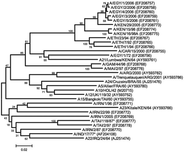 Midpoint-rooted neighbor-joining tree showing the relationships between the A Egypt 2006 virus isolates and other contemporary and reference viruses. Numbers indicate the percentage occurrence of the branches by the bootstrap resampling method. *Reference number not assigned by the World Reference Laboratory for Foot-and-Mouth Disease.