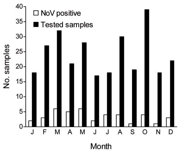 Seasonal distribution of norovirus (NoV) infections in Rio de Janeiro, Brazil, 1998–2005.