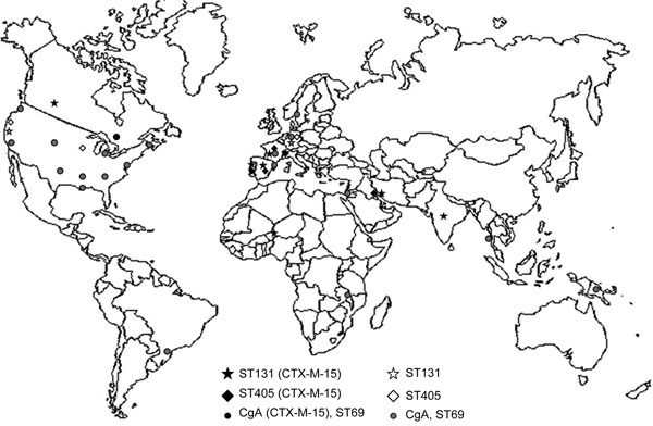 Geographic distribution of widely disseminated Escherichia coli clonal complexes associated with CTX-M-15. Data from strains lacking blaCTX-M-15 are from published studies (17,27,28; http://web.mpiib-berlin.mpg.de/mlst/dbs/Ecoli). E. coli clonal group A (CgA) has been identified as different sequence types (STs), most belonging to ST69 (27).