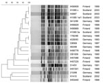 Thumbnail of Pulsed-field gel electrophoresis of XbaI-digested DNA from SFO157 strains. Strain designation, source, and year of isolation are shown at right. This unweighted pair-group method with arithmetic mean dendrogram was generated in BioNumerics software (Applied Maths, St-Martens-Latem, Belgium) by using Die coefficient with a 1.0% lane optimization and 1.0% band position tolerance. The scale above the dendrogram indicates percent similarity.