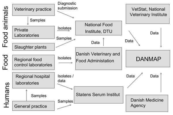 Data flow. DANMAP, Danish Integrated Antimicrobial Resistance Monitoring and Research Program; DTU, Technical University of Denmark.