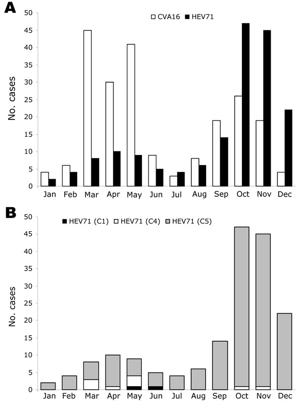 Monthly distribution of 387 cases of hand, foot, and mouth disease (HFMD) associated with isolation of either coxsackievirus A16 (CVA16) (214 cases) or human enterovirus 71 (HEV71) (173 cases), southern Vietnam, 2005. RNA was extracted from cells inoculated with vesicle, throat swab, or stool specimens. Partial VP4 gene sequences were amplified by reverse transcription–PCR (RT-PCR) by using specific primers (22), the amplified cDNA sequenced, and the serotype and/or genogroup specificity determined by BLAST analysis. A) Monthly distribution of CVA16 and HEV71-associated HFMD cases. B) Monthly distribution of 173 HFMD cases associated with HEV71 infection with strains belonging to subgenogroups C1, C4, or C5.