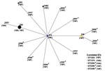 Thumbnail of Relationship of 126 strains of serogroup 19 by eBURST analysis. ST271 (blue circle) is the predicted primary founder and ST236 (yellow circle) was assigned to a subgroup founder. Numbers on the diagram correspond to sequence types (STs). The size of each circle correlates with the number of isolates of that ST. *Newly identified ST in this study.