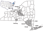 Thumbnail of A) United States map showing locations of eastern equine encephalitis virus strains sequenced in this study. New York State (NY) highlighted in blue; New Jersey (NJ), Virginia (VA), Florida (FL), Louisiana (LA) highlighted in gray. Map courtesy of www.theodora.com/maps, used with permission. B) New York counties where eastern equine encephalitis virus (EEEV) strains have been located (shaded). Dotted box indicates focus of most EEEV activity.