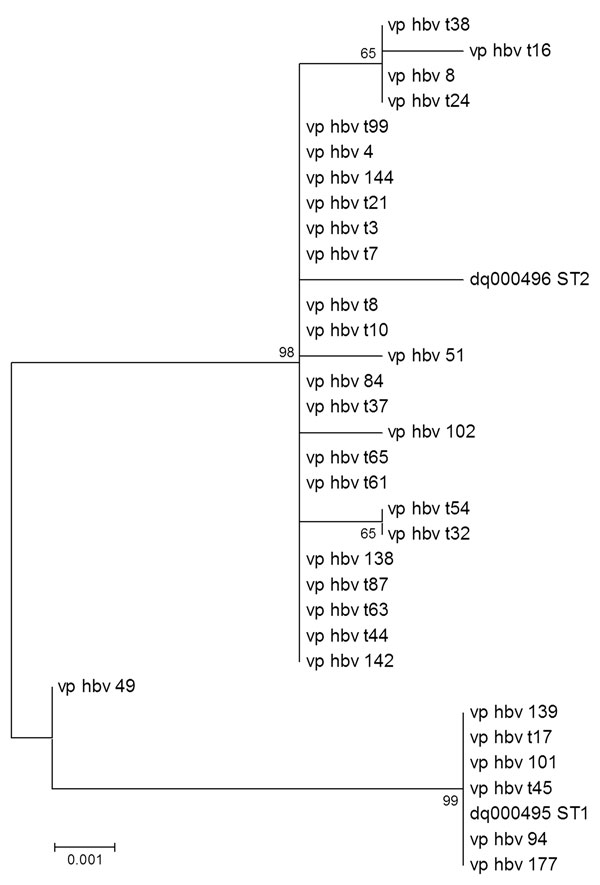 Phylogenetic tree of human pediatric bocavirus strains from Quebec City, Quebec, Canada. Patient numbers beginning with the letter t indicate asymptomatic (control) children. Strains from Sweden (sequence type [ST] 1, GenBank accession no. DQ000495, and ST2, GenBank accession no. DQ000496) are included (1). Numbers along branches are bootstrap values from 1,000 replicates. Scale bar shows 1 substitution for every 1,000 nucleic acid residues.