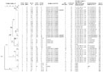 Thumbnail of Dendrogram of patterns obtained by pulsed-field gel electrophoresis of Salmonella enterica serotype Typhimurium isolates from outpatients, Wuhan, People's Republic of China. Statistical analysis of restriction patterns was performed by using BioNumerics software (Applied Maths, St-Martens-Latern, Belgium) with the Dice similarity coefficient. The tree indicating relative genetic similarity was constructed on the basis of the unweighted pair-group method of averages, position tolerance of 0.5%. Values of 100% mean that the strains are identical. To be considered part of a cluster, the DNA patterns could not differ from each other by &gt;10%. Similarity that differed by &lt;5% was considered to represent subtypes within the main group (e.g., A1, A2, and A3). *Isolates resistant to ampicillin were screened for the ß-lactamase gene blaOXA-30; NT, not tested. †Sulfamethoxazole-resistant isolates were screened for class 1 integrons, and the following genes were identified: the gene for aminoglycoside adenyltransferase (aadA2), the gene for dihydrofolate reductase (dhfrXII), the ß-lactamase gene (blaOXA-30), and an open reading frame (ORF). PFGE, pulsed-field gel electrophoresis; N, nalidixic acid; CIP, ciprofloxacin; QRDRs, quinolone resistance–determining regions; FEP, cefepime; Ac, amoxicillin/clavulanic acid; Am, ampicillin; C, chloramphenicol; Cp, ciprofloxacin; G, gentamicin; S, sulfamethoxazole; St, streptomycin; Sxt, trimethoprim/sulfamethoxazole; T, tetracycline; Ak, amikacin; NT, not tested; K, kanamycin; –, susceptible to all tested antimicrobial drugs.