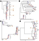 Thumbnail of Gene trees showing nucleotide sequence clusters of 68 Borrelia burgdorferi isolates at 1 chromosomal locus (panel A: rrs-rrlA spacer, or intergenic spacer [IGS]) and 3 plasmid loci (panels B, C, and D: ospC on cp26, dbpA on lp54, and BBD14 on lp17, respectively). Trees were inferred based on nucleotide sequence alignments and were rooted by using the Ri5, SV1, or both, sequences as outgroups. The DNADIST and neighbor-joining programs of the PHYLIP package (33) were used for distance calculation and the APE software package (34) was used for tree plotting. Isolates were grouped as clonal groups (A through U), which are named by their typical ospC alleles. Five isolates (Bol26, VS219, MI409, MI415, and MI418) showing atypical allelic associations with ospC alleles, likely caused by recombination, were labeled in orange. Red, European isolates; blue, northeastern US isolates; green, midwestern US isolates. Scale bars indicate number of nucleotide substitutions per site.