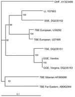 Thumbnail of Phylogenetic tree of the envelope gene of tick-borne encephalitis (TBE) virus strains constructed by using PHYLIP software (http://evolution.genetics.washington.edu/phylip.html). Omsk hemorrhagic fever (OHF) virus was used as the out-group. The numbers at the nodes represent bootstrap values. LI, louping ill; SSE, Spanish sheep encephalitis; TSE, Turkish sheep encephalitis; GGE, Greek goat encephalitis. Scale bar, 10% nucleotide sequence divergence.