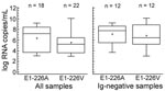 Thumbnail of Viral loads for all PCR-positive samples (left panel) and immunoglobulin (Ig)–negative/PCR-positive samples (right panel), depending on types of mutation (alanine or valine at amino acid position 226 of the envelope 1 protein, as shown on the x-axis). Boxes represent the innermost 2 quartiles of data; horizontal line shows the mean; whiskers represent the outermost 2 quartiles.