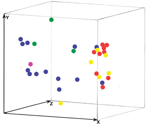 Three-dimensional presentation of the principal coordinate analysis of the combined M13 PCR fingerprinting, amplified fragment length polymorphism (AFLP) primers EcoRI-GT and MseI-GT and AFLP primers EcoRI-TG and MseI-CA data from the suspected Sydney and Melbourne case cluster isolates and 23 other Australian isolates. None of the investigated isolates showed any epidemiologic connection except 3 isolates obtained from the same patient (nos. 1, 73, 119). Blue dots, Melbourne outbreak isolates;