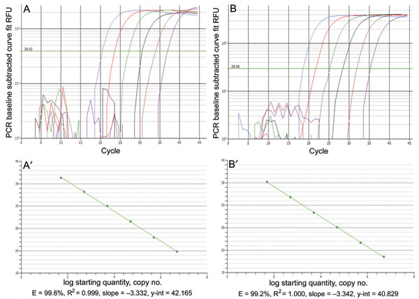 Real-time PCR amplification plots and standard curves for Acanthamoeba polyphaga mimivirus (APM)-396 (A, A′) and APM-596 (B, B’). Linear amplification was achieved over 6 logs for both assays over 5 × 106 to 5 × 101 copies of plasmid DNA. RFU, relative fluorescence units.