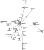 Thumbnail of  Minimum spanning tree of hemolytic uremic syndrome–associated enterohemorrhagic Escherichia coli strains and Shigella dysenteriae M1354 (ST243, data from the E. coli multilocus sequence type [ST] website [http://web.mpiib-berlin.mpg.de/mlst/dbs/Ecoli]) as an outgroup generated from allelic profiles based on the eBURST algorithm (12). Each ST is represented by a circle named with its ST, and the corresponding serotypes are given (OR, O rough; H–, nonmotile; nt, not typeable with the E. coli O and H antisera used). Black lines connecting pairs of STs indicate that they share 6 (thick lines) or 5 (thin) alleles. Gray lines connecting pairs of STs of increasing line length indicate that the STs share &lt;4 alleles. In addition, the STs and, if applicable, the connecting lines of a clonal complex are shaded in gray.