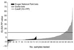 Thumbnail of Marburg virus ELISA percent positivity (PP) values recorded on bat serum samples collected in 1999 in Durba, Democratic Republic of the Congo (n = 426), and from 1984 through 1994 in Kruger National Park, South Africa (n = 188). The cutoff PP value of 16.4 was fixed as 3 × (mean + 3 SD) of values observed in the Kruger National Park samples.