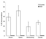 Thumbnail of Percent prevalence of Mycobacterium bovis–positive coyotes (Canis latrans) and white-tailed deer (Odocoileus virginianus) in Montmorency, Alpena, Alcona, and Oscoda Counties, Michigan, 2003–2005. Prevalence estimates for white-tailed deer are expressed as a mean calculated from discrete sampling periods conducted in 2003, 2004, and 2005. Error bars for coyote estimates represent the standard error of the mean calculated across townships for each county. Estimates of M. bovis prevalence for white-tailed deer were not available for individual townships; standard errors were not calculated for counties.