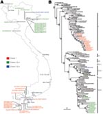 Thumbnail of A) Map of Vietnam showing the location of influenza A virus (H5N1) isolation from 2006 to 2007. B) Phylogenetic relationship of the hemagglutinin (HA) gene of influenza A viruses isolated in Vietnam during 2005–2007. Numbers above and below branches indicate neighbor-joining and Bayesian posterior probabilities, respectively. Analyses were based on nt 1–963 of the HA gene. The HA tree was rooted to swan/Hokkaido/51/96. Numbers to the right of the figure refer to World Health Organization influenza (H5N1) clade designations (Table). Virus names described in this study are shown in colored text; previously described Vietnam isolates are shown in bold italic text. *Denotes viruses with the Ser-123-Pro substitution in the HA. #Denotes a clade 2.3.4 and clade 1 reassortant virus. Scale bar, 0.01 substitutions per site. BHG, bar-headed goose; Ck, chicken; Dk, duck; FJ, Fujian; Gs, goose; GX, Guangxi; GY, Guiyang; HK, Hong Kong Special Administrative Region, People’s Republic of China; HN, Hunan; JX, Jiangxi; IDN, Indonesia; KHM, Cambodia; MusDk, muscovy duck; MYS, Malaysia; NGA, Nigeria; Qa, Quail; ST, Shantou; THA, Thailand; VNM, Vietnam; WDk, wild duck; YN, Yunnan.