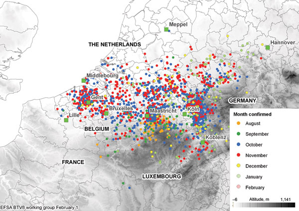 Monthly distribution of confirmed bluetongue virus 8 (BTV-8) outbreaks in northern and central Europe from August 17, 2006, through February 1, 2007. After January 1, 2007, few BTV cases were reported; those that were probably involved animals that had been infected, but not detected, in 2006.