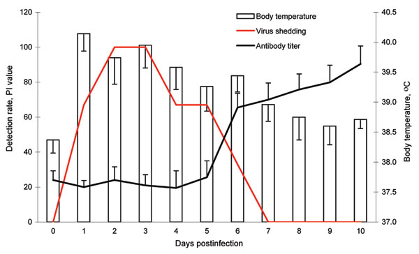 Body temperature, virus shedding, and antibody seroconversion after challenge with canine influenza virus. Body temperature was increased from 1 day postinoculation (dpi) and slowly decreased to normal temperature by 7 dpi. Virus shedding was detected from 1 dpi to 6 dpi by reverse transcription–PCR. However, the ELISA antibody titers increased after 6 dpi. Antibody titers were regarded as positive if percent inhibition (PI) was &gt;50.