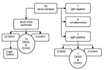 Thumbnail of Laboratory diagnosis, dengue (DENV) and chikungunya (CHIKV) viruses, for 55 patients sampled, Madagascar, 2006. RT-PCR, reverse transcription–PCR; Ig, immunoglobulin.