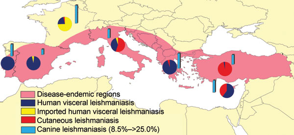 Leishmaniasis in southern Europe. Distribution of the endemic disease; relative proportion of autochthonous (visceral, cutaneous) and imported human cases and seroprevalence in dogs (from data reported in Table).