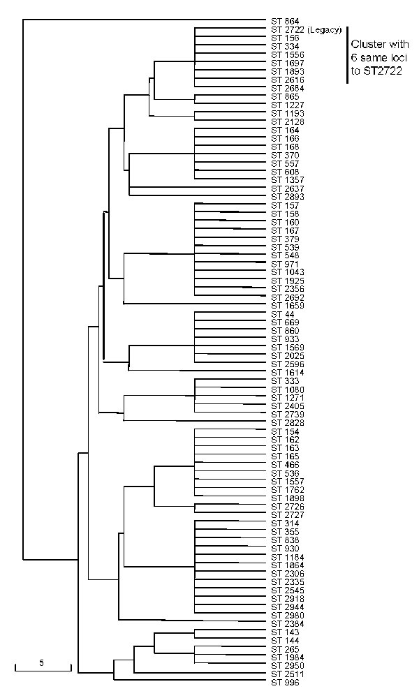 Genetic relatedness of Streptococcus pneumoniae ST-2722 (Legacy strain) to reported types that have 5 or 6 of the same loci as the Legacy strain. List of types available at the multilocus sequence typing database (http://spneumoniae.mlst.net). Scale bar indicates genetic linkage distance.