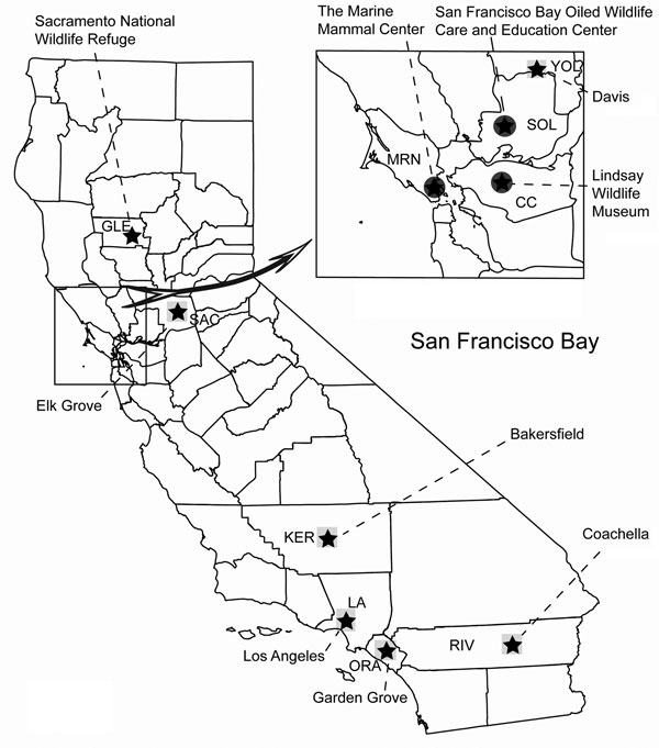Map of California displaying sample collection sites for avian influenza testing, fall 2005–summer 2007. The casual risk category is represented by a square, recreational risk category by a star, and occupational risk category by a circle. Counties are abbreviated as follows: CC, Contra Costa; GLE, Glenn; KER, Kern; LA, Los Angeles; MRN, Marin; ORA, Orange; RIV, Riverside; SAC, Sacramento; SOL, Solano; YOL, Yolo.