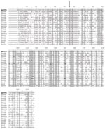 Thumbnail of  Deduced amino acid sequence comparison of QnrVC1 from class 1 integron with plasmid- and chromosomal-mediated Qnr determinants. The glycine residue linking the 2 domains of the pentapeptide proteins is indicated by an arrow. Identical residues are highlighted and amino acid substitutions are in boldface. Species and GenBank accession nos. are as follows: QnrVS (Vibrio splendidus, EAP95542), QnrVsp (Vibrio sp., EAQ55748), QnrS1 (Shigella flexneri, BAD88776), QnrVC (V. cholerae strain 627, EU436855; this work); QnrPP (Photobacterium profundum, YP132629), QnrVF (V. fisheri, AAW85819), QnrSP (Shewanella pealeana, EAV99957), QnrA1 (Escherichia coli, AAY46800), QnrA3 (S. algae, AAZ04782), QnrPsp (Psychromonas sp., EAS39797), QnrSF (S. frigidimarina, ABI71948), QnrVV (V. vulnificus, AAO07889), QnrVP (V. parahaemolyticus, BAC61438), QnrVA (V. alginolyticus, EAS75285), QnrVAn (V. angustum, EAS64891), QnrAH (Aeromonas hydrophila, ABK38882), QnrB1 (Klebsiella pneumoniae, ABG82188), QnrVSh (V. shilonii, EDL55273), QnrVB (Vibrionales bacterium, EDK31146), QnrVH (V. harveyi, EDL69958).