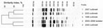 Thumbnail of Pulsed-field gel electrophoresis–generated dendrogram for 43 Shigella sonnei isolates obtained from sporadic or outbreak cases during 1996–2007 in the Paris area. Profile 1) representative isolates from the 2007 outbreak, including 32 isolates with azithromycin MIC &gt;256 mg/L by Etest and 2 isolates with azithromycin MIC &lt;16 mg/L. Profile 2) 6 representative isolates from sporadic cases (2003–2006) with azithromycin MIC &lt;16 mg/L. Profile 3) representative isolate Shi 03-3580 from 2003 outbreak with azithromycin MIC &lt;16 mg/L by Etest. Profile 4) representative isolate Shi 02-9633 from 2002 outbreak with azithromycin MIC &lt;16 mg/L by Etest. Profile 5) representative isolate Shi 96 1420 from 1996 outbreak with azithromycin MIC &lt;16 mg/L by Etest.