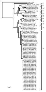 Thumbnail of Phylogenetic relationships of enterovirus 71 partial viral protein (VP1) gene sequences. The prototype coxsackievirus A16 (CoxA16-G10) was used as the outgroup virus. The phylogenetic tree shown was constructed by using the neighbor-joining method. Bootstrap values (&gt;95%) are shown as percentages derived from 1,000 samplings at the nodes of the tree. Scale bar denotes number of nucleotide substitutions per site along the branches. Isolates from this study are indicated by * (Brun