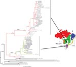 Thumbnail of Maximum clade credibility (MCC) tree based on concatenation of partial sequences of nucleocapsid (N) and glycoprotein genes of hantavirus detected in 16 patients with hantavirus pulmonary syndrome and in 15 rodents, and other South American hantaviruses. Arrows toward the map show that main biomes in Brazil indicate that Araraquara hantavirus (ARAV) samples (shown in red) had a distribution ranging mainly from the Central Plateau (cerrado, a savanna-like ecosystem) to areas borderin
