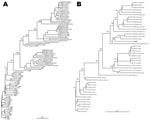 Thumbnail of Phylogenetic relationship among hepatitis E virus (HEV) strains from southwestern France based on a 345-nt sequence of HEV hypervariable region (A) and on the full-length sequence of TLS25 and HEV strains whose entire sequence is known (B). Genetic distances were calculated by using the Kimura 2-parameter method; phylogenetic trees were plotted by the neighbor-joining method. The reproducibility of the branching pattern was tested by bootstrap analysis (1,000 replicates). Each branc