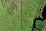 Thumbnail of Satellite view of distribution of patients with disseminated leishmaniasis (DL; black circles) and patients with mucosal leishmaniasis (ML; red circles) in Corte de Pedra, Brazil, 1999–2003. Vertical line divides the region into inner (left) and coastal (right) areas of similar size. Total number of patients shown is smaller than the number of corresponding patients because of overlap of geographic coordinates for some patients. For details, see Materials and Methods. p = 0.00005, f