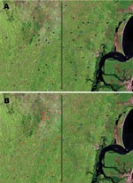 Thumbnail of Satellite view of distribution of patients with disseminated leishmaniasis (DL) limited to the skin, patients with mucosal leishmaniasis (ML), and patients with DL showing mucosal involvement (MDL) in Corte de Pedra, Brazil, 1999–2003. A) Black circles indicate patients with DL, and blue circles indicate patients with MDL. B) Red circles indicate patients with ML, and blue circles indicate patients with MDL. Vertical line divides the region into inner (left) and coastal (right) area