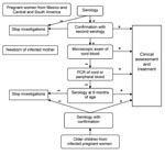 Thumbnail of Algorithm for screening, diagnosis, and treatment of Trypanosoma cruzi congenital infection at Geneva University Hospitals, Geneva, Switzerland.