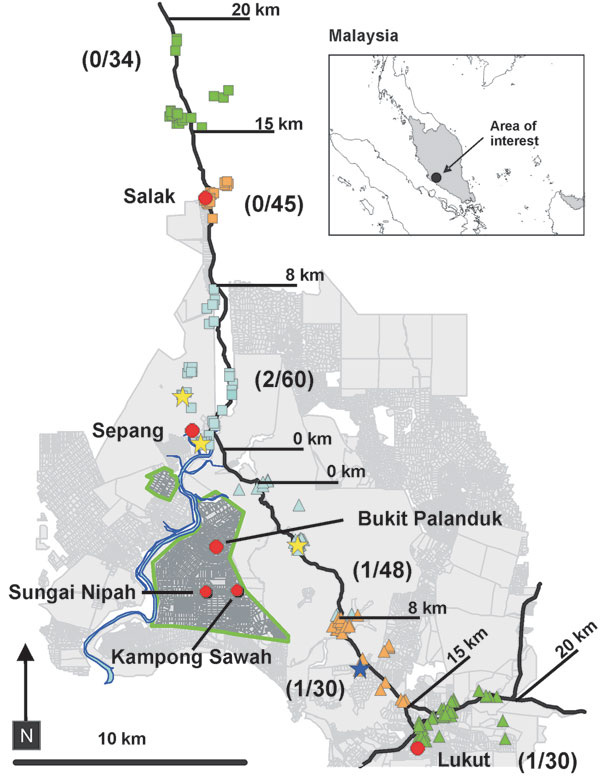 Sampling locations for 161 pet and 88 stray dogs along 2 transects that followed major roads leading north (squares) and southeast (triangles) from the Nipah virus encephalitis disease-epidemic areas in Bukit Pelanduk and Sepang, Malaysia. Color-coded squares and triangles refer to the transect interval where they were taken (light blue, 0–8 km; orange, 8–15 km; green, 15–20 km). The recognized disease-epidemic areas in pigs and humans are outlined by thick green lines. Sampling sites of Nipah v