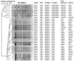 Thumbnail of Figure 5&nbsp;-&nbsp;Dendogram comparing pulsed-field gel electrophoresis patterns of 25 Vibrio vulnificus biotype 3 isolates and a reference set of biotype 1 isolates when restricted with SfiI enzyme.