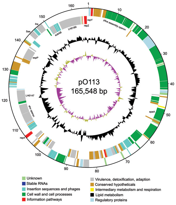 figure 1 shiga toxin producing escherichia coli strains negative for locus of enterocyte effacement volume 15 number 3 march 2009 emerging infectious diseases journal cdc producing escherichia coli strains