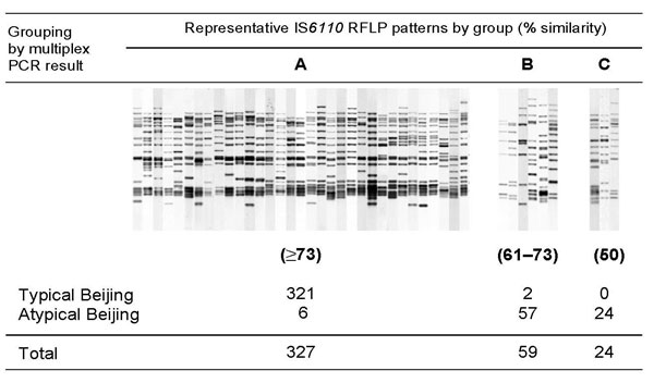 Correlation between the multiplex PCR results and insertion sequence (IS)6110 restriction fragment length polymorphism (RFLP) pattern similarity. On the basis of IS6110 RFLP pattern similarity, 3 groups of related patterns (A, B, and C) were recognized among 410 Mycobacterium tuberculosis Beijing clade strains isolated in the Netherlands. The similarity of the IS6110 RFLP patterns of groups B (61%–73%) and C (50%) are relative to the RFLP patterns of group A. Within group C the similarity of the