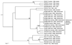 Thumbnail of Genetic relationships between Francisella tularensis subsp. holarctica strains isolated in Switzerland and strains of wider geographic origin. The unweighted pair group method with arithmetic mean phylogram is based on the combined Ftind and multiple-locus variable-number tandem repeat analysis. Bootstrap values &gt;80% are given at the respective nodes and were calculated by using 10,000 iterations. Scale bar indicates genetic distance.